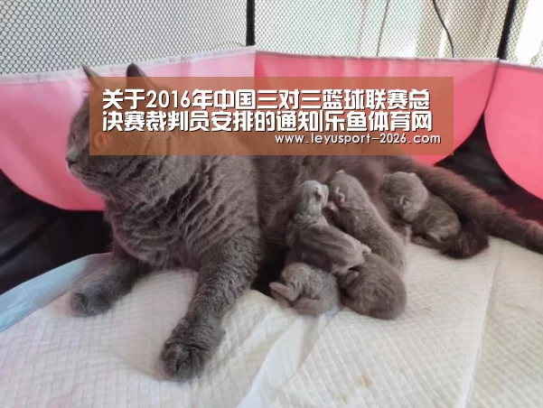 乐鱼体育官方网站